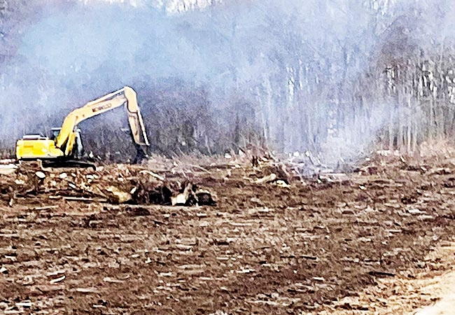 Lot Clearing